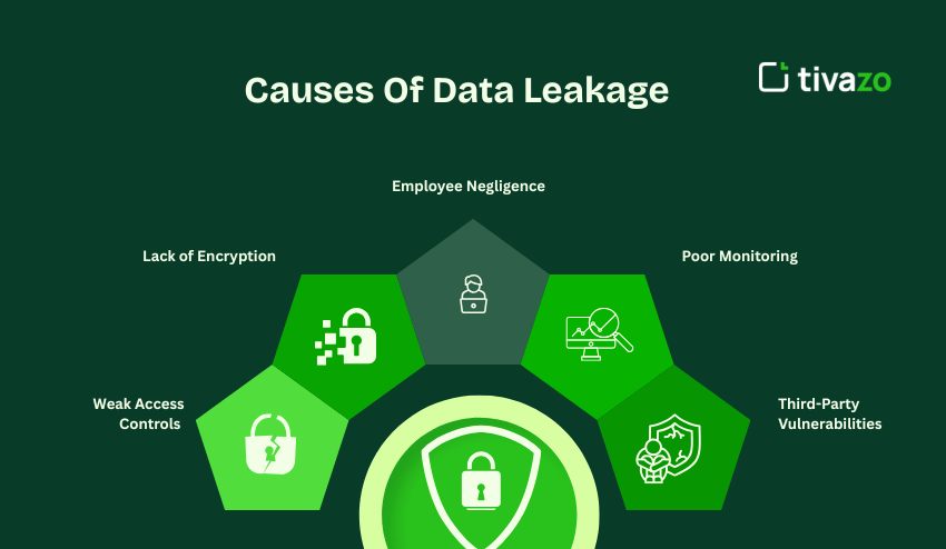 Causes of Data Leakage 