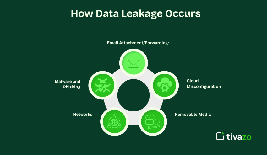How Data leakage Occurs 