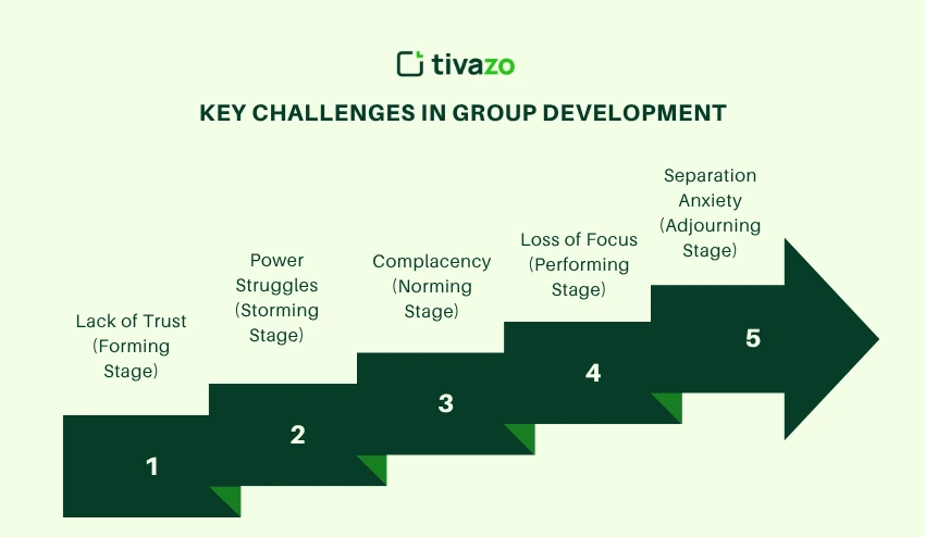 Key Challenges in Group Development