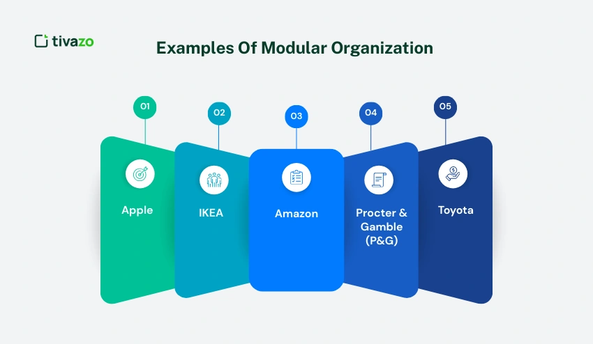 Examples Of Modular Organization