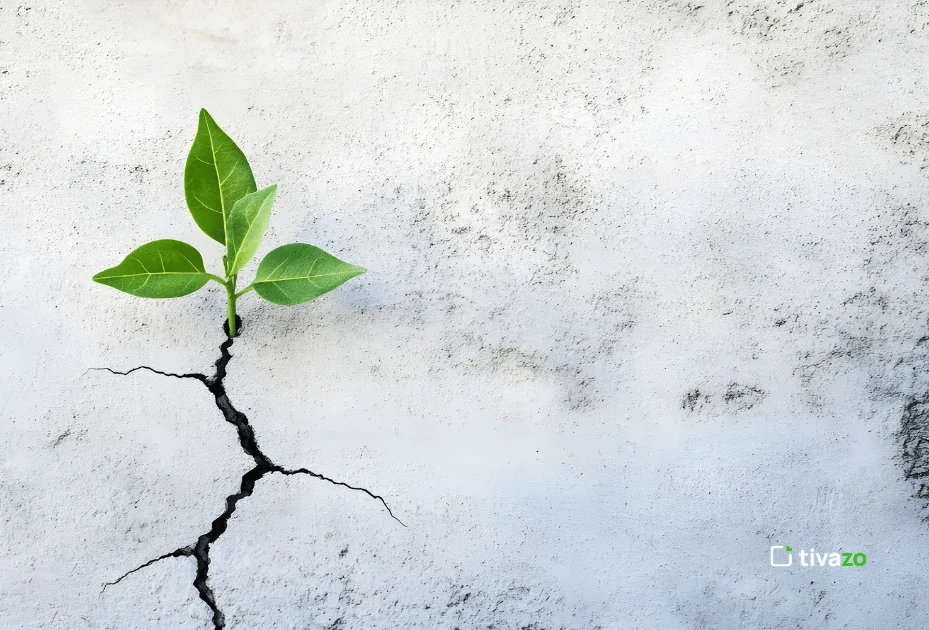 Adaptability & Resilience